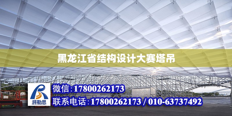 黑龍江省結構設計大賽塔吊