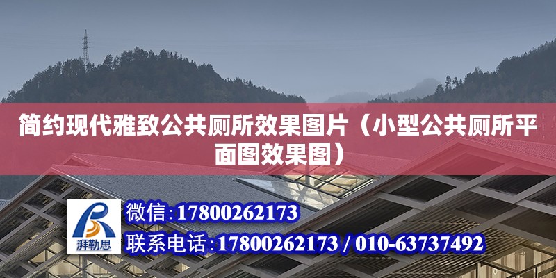 簡約現代雅致公共廁所效果圖片（小型公共廁所平面圖效果圖）