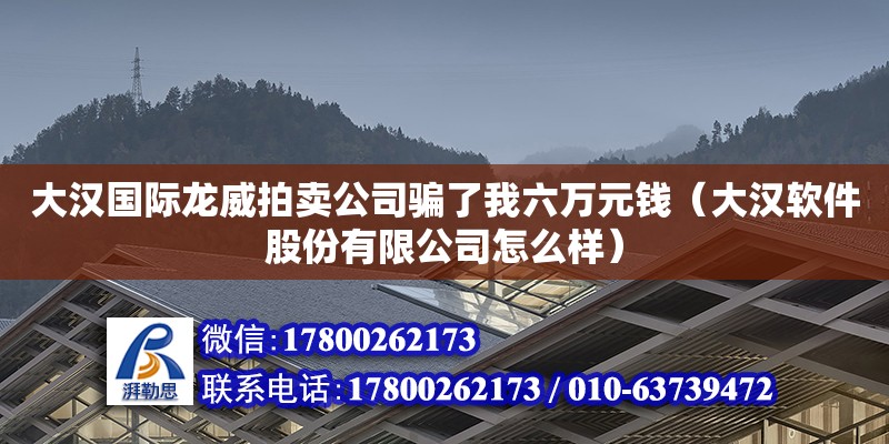 大漢國際龍威拍賣公司騙了我六萬元錢（大漢軟件股份有限公司怎么樣）