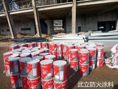 鋼結(jié)構(gòu)防火涂料一平米多少公斤 建筑效果圖設(shè)計(jì) 第4張