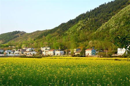 房屋地基沉降怎么辦（地基沉降對房屋安全的影響） 裝飾工裝設計 第4張