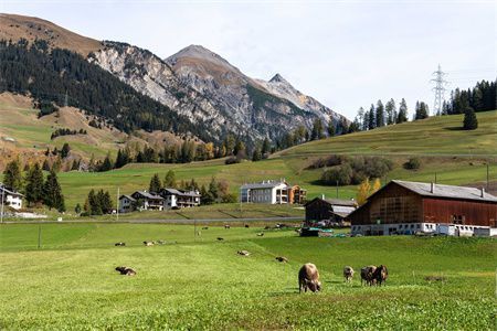 民用鋼結構住宅（鋼結構住宅的市場前景如何？）