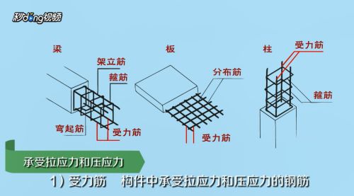 房屋建筑鋼筋圖（房屋建筑鋼筋圖是建筑設計中非常重要的一些詳細信息）