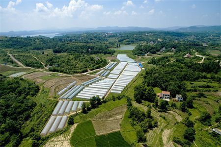 樓房地基下沉還能住嗎現在（地基下沉能否繼續居住）