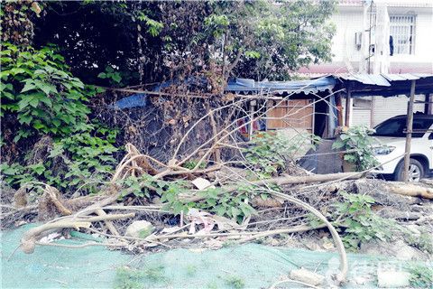 農村宅基地加固（農村宅基地加固政策最新動態,農村房屋加固案例分享） 結構工業裝備施工 第4張