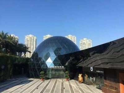 深圳鋼結構博物館好玩嗎（深圳鋼結構博物館怎么樣） 結構框架設計 第4張