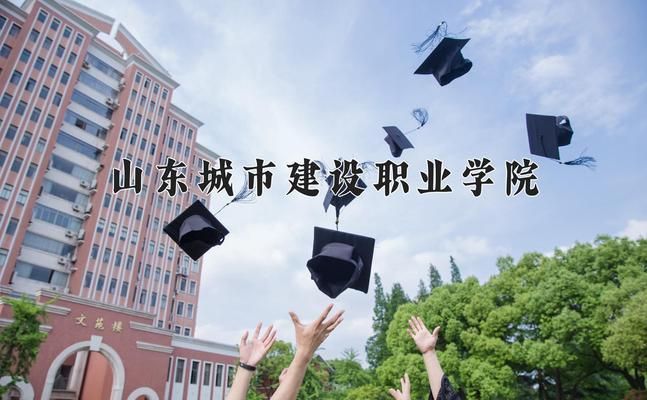 浙江樓梯加固設(shè)計公司（浙江樓梯加固設(shè)計公司在材料選擇上有哪些標準？）