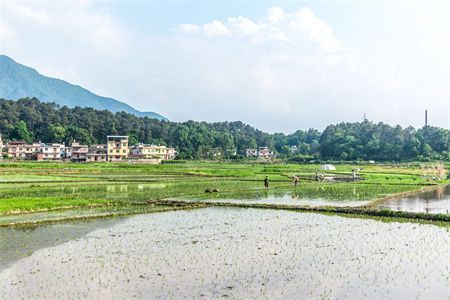 房子地基下沉怎么辦前高后低會影響居住嗎（地基下沉對水電管道影響） 鋼結構門式鋼架施工 第3張