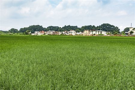 農(nóng)村房屋地基下沉抖音（農(nóng)村房屋地基下沉檢測方法介紹地基加固成本預(yù)算指南） 鋼結(jié)構(gòu)網(wǎng)架設(shè)計 第5張