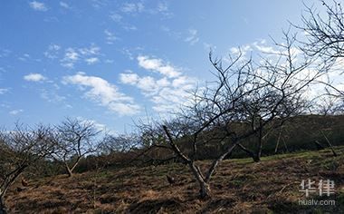 樓房地基下沉怎么賠償（樓房地基下沉的賠償標準是固定的） 結構地下室施工 第3張