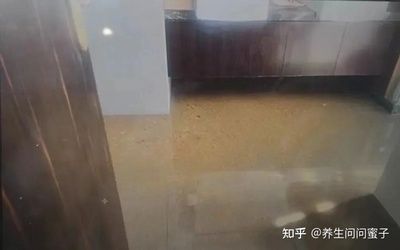 樓房修改下水管道怎么報備（在樓房中修改下水管道需要經過哪些流程）