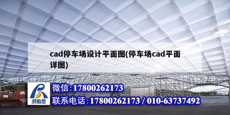 cad停車場設計平面圖(停車場cad平面詳圖) 結構污水處理池設計