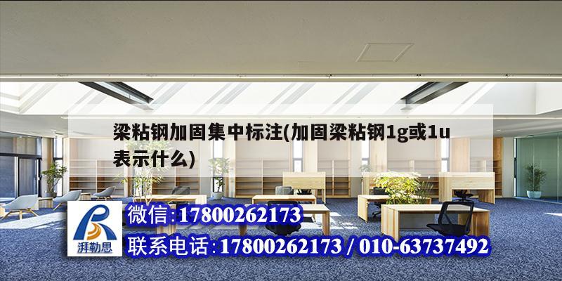 梁粘鋼加固集中標注(加固梁粘鋼1g或1u表示什么) 鋼結構網架施工