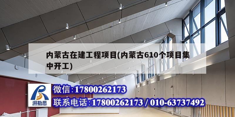 內蒙古在建工程項目(內蒙古610個項目集中開工) 結構橋梁鋼結構施工