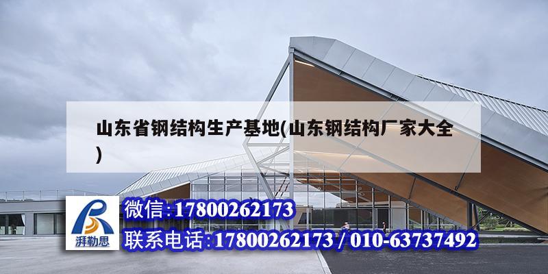 山東省鋼結構生產基地(山東鋼結構廠家大全) 鋼結構異形設計