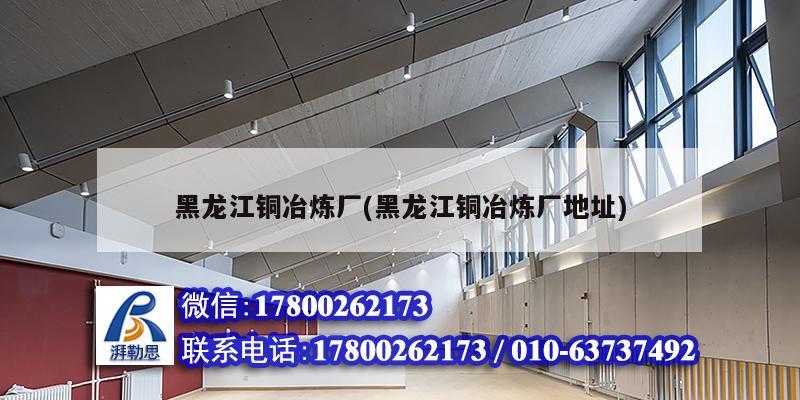 黑龍江銅冶煉廠(黑龍江銅冶煉廠地址) 鋼結構鋼結構停車場設計