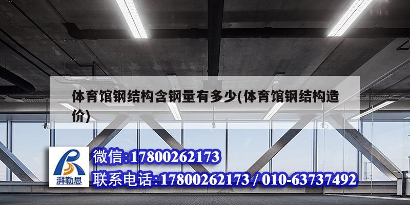 體育館鋼結構含鋼量有多少(體育館鋼結構造價) 鋼結構跳臺設計